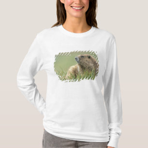 VS, Washington, Olympic NP, Olympic Marmot T-shirt