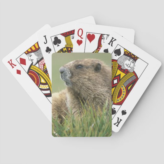 VS, Washington, Olympic NP, Olympische marmot Speelkaarten (Achterkant)