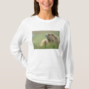 VS, Washington, Olympic NP, Olympische marmot T-shirt