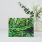 VS, Washington, Olympisch Nat. Park, Hoh Rain Briefkaart (Staand voorkant)