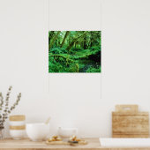 VS, Washington, Olympisch Nat. Park, Hoh Rain Poster (Keuken)