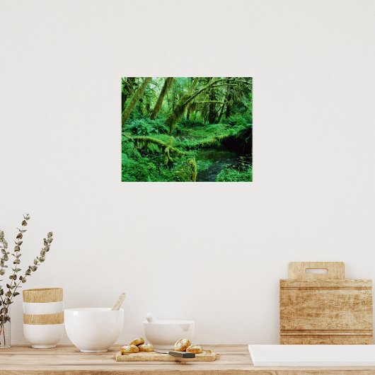 VS, Washington, Olympisch Nat. Park, Hoh Rain Poster (Keuken)