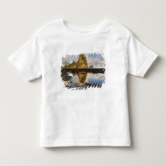VS, Washington, Olympisch Nationaal Park.  A Kinder Shirts (Voorkant)