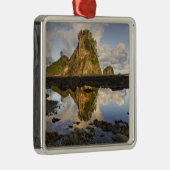 VS, Washington, Olympisch Nationaal Park. A Metalen Ornament (Rechts)