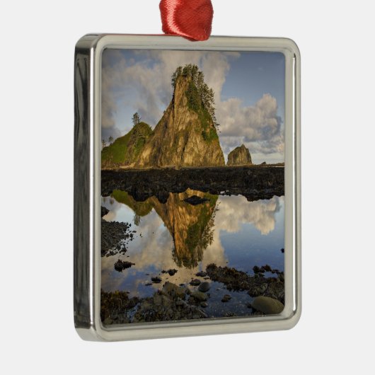 VS, Washington, Olympisch Nationaal Park.  A Metalen Ornament (Rechts)