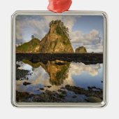 VS, Washington, Olympisch Nationaal Park.  A Metalen Ornament (Voorkant)