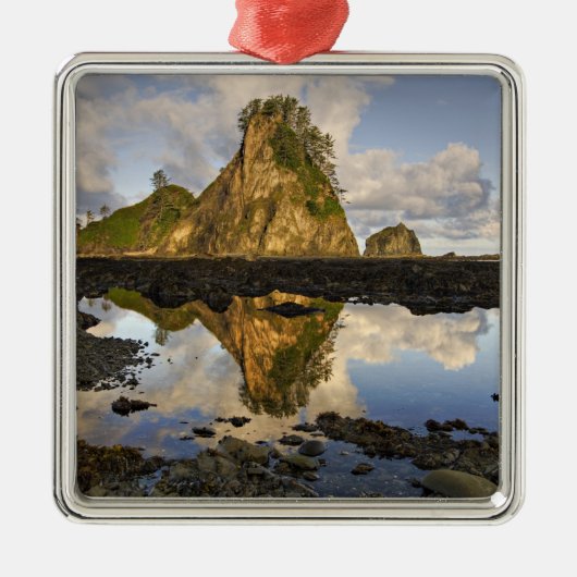 VS, Washington, Olympisch Nationaal Park. A Metalen Ornament (Voorkant)