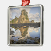 VS, Washington, Olympisch Nationaal Park. A Metalen Ornament (Links)