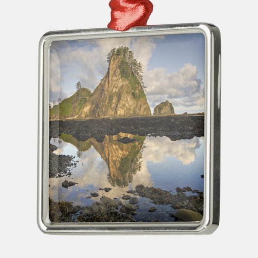 VS, Washington, Olympisch Nationaal Park.  A Metalen Ornament (Links)