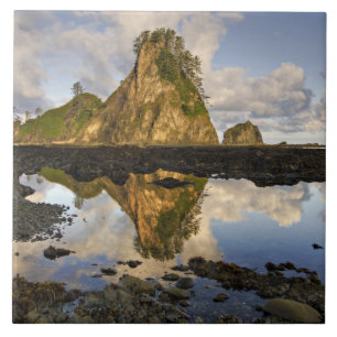 VS, Washington, Olympisch Nationaal Park.  A Tegeltje