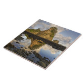 VS, Washington, Olympisch Nationaal Park.  A Tegeltje (Zijkant)