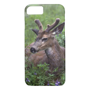 VS, Washington, Olympisch Nationaal Park. Deer iPhone 8/7 Hoesje