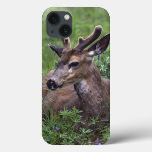 VS, Washington, Olympisch Nationaal Park. Deer Case-Mate iPhone Case