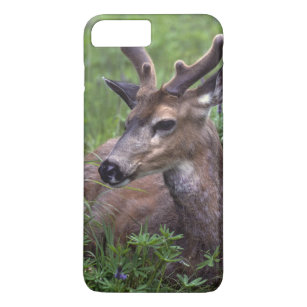VS, Washington, Olympisch Nationaal Park. Deer iPhone 8/7 Plus Hoesje