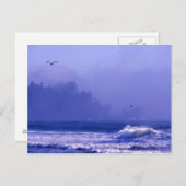 VS, Washington, Olympisch Nationaal Park. Mist Briefkaart (Voorkant / Achterkant)