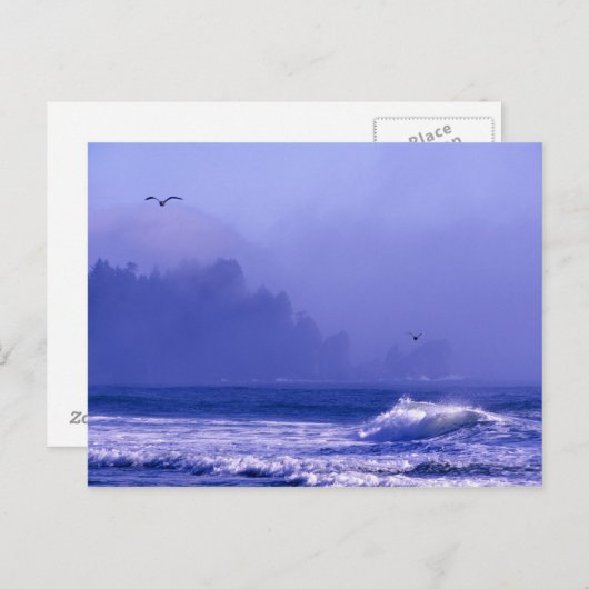 VS, Washington, Olympisch Nationaal Park. Mist Briefkaart (Voorkant / Achterkant)