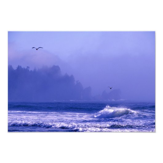 VS, Washington, Olympisch Nationaal Park. Mist Foto Afdruk (Voorkant)