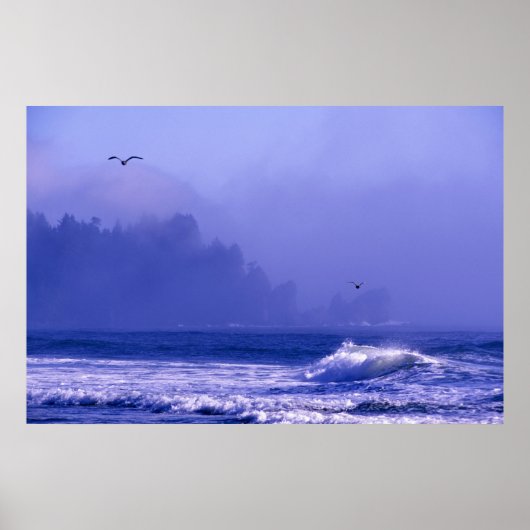 VS, Washington, Olympisch Nationaal Park. Mist Poster (Voorkant)