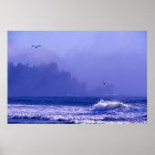 VS, Washington, Olympisch Nationaal Park. Mist Poster (Voorkant)