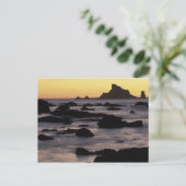 VS, Washington, Olympisch natuurpark, Seastacks Briefkaart (Staand voorkant)