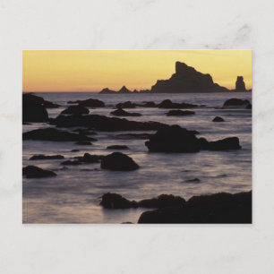 VS, Washington, Olympisch natuurpark, Seastacks Briefkaart