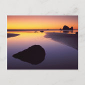 VS, Washington, Olympisch schiereiland Briefkaart (Voorkant)