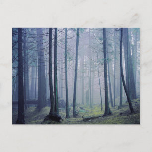 VS, Washington, Orcas Island, Moran State Park Briefkaart