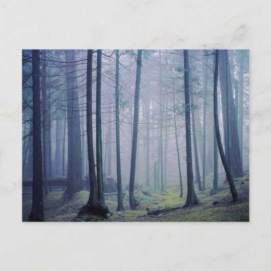 VS, Washington, Orcas Island, Moran State Park Briefkaart (Voorkant)