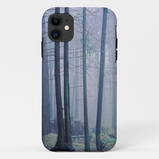 VS, Washington, Orcas Island, Moran State Park Case-Mate iPhone Case (Achterkant)