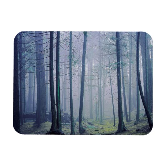 VS, Washington, Orcas Island, Moran State Park Magneet (Horizontaal)