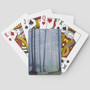 VS, Washington, Orcas Island, Moran State Park Pokerkaarten