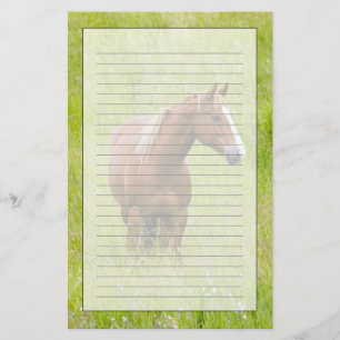 VS, Washington, Paard in voorjaarsveld, Briefpapier