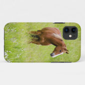 VS, Washington, Paard in voorjaarsveld, Case-Mate iPhone Case (Achterkant (horizontaal))