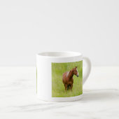 VS, Washington, Paard in voorjaarsveld, Espresso Kop (Voorkant rechts)