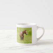 VS, Washington, Paard in voorjaarsveld, Espresso Kop (Rechts)