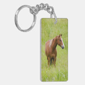 VS, Washington, Paard in voorjaarsveld, Sleutelhanger (Voorkant Links)