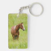 VS, Washington, Paard in voorjaarsveld, Sleutelhanger (achterkant)