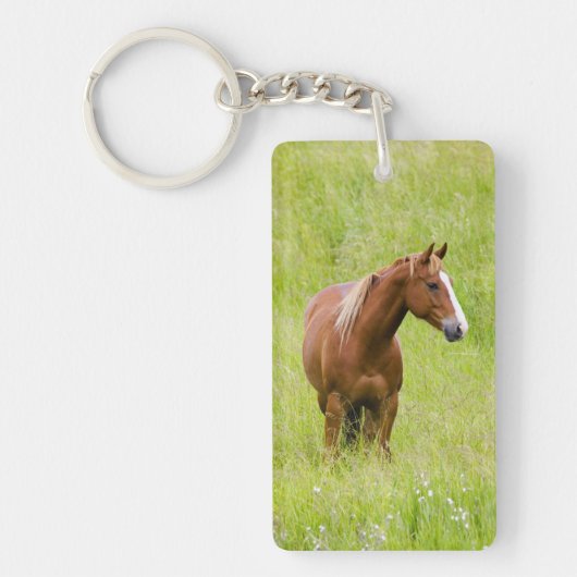 VS, Washington, Paard in voorjaarsveld, Sleutelhanger (Voorkant)