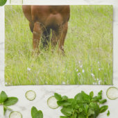 VS, Washington, Paard in voorjaarsveld, Theedoek (Gevouwen)