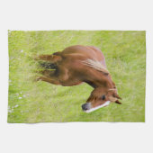 VS, Washington, Paard in voorjaarsveld, Theedoek (Horizontaal)