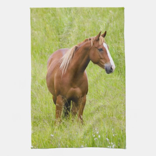 VS, Washington, Paard in voorjaarsveld, Theedoek (Verticaal)