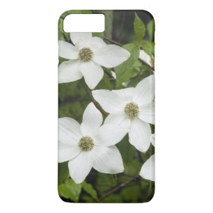 VS, Washington, Pacifische kornoelje, Cornus Case-Mate iPhone Case