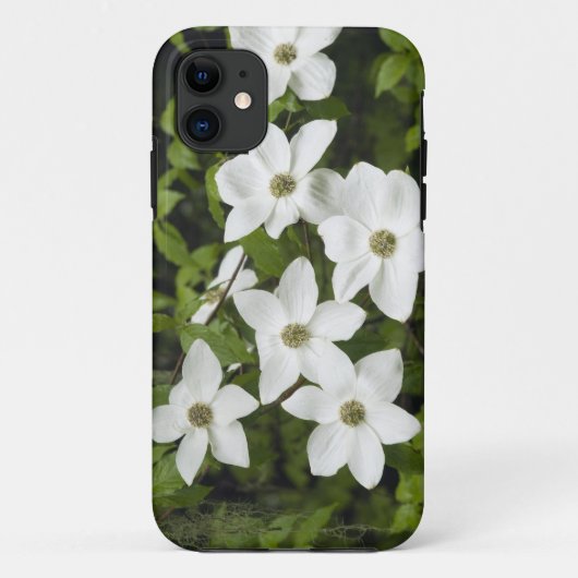 VS, Washington, Pacifische kornoelje, Cornus Case-Mate iPhone Case (Achterkant)