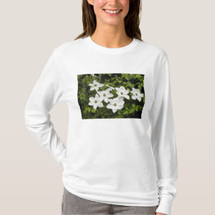 VS, Washington, Pacifische kornoelje, Cornus T-shirt