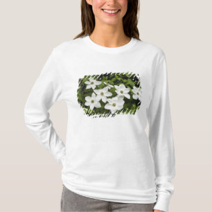 VS, Washington, Pacifische kornoelje, Cornus T-shirt