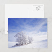 VS, Washington, Palouse Area, Frosted Black Briefkaart (Voorkant / Achterkant)