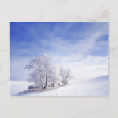 VS, Washington, Palouse Area, Frosted Black Briefkaart (Voorkant)