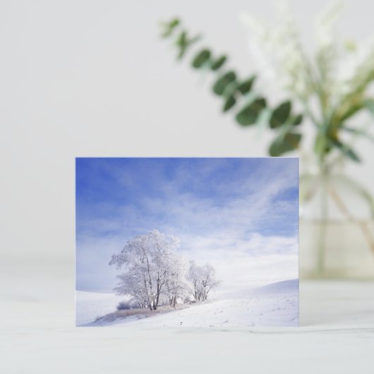 VS, Washington, Palouse Area, Frosted Black Briefkaart (Staand voorkant)
