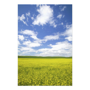 VS, Washington, Palouse Country, Bloeiend Foto Afdruk
