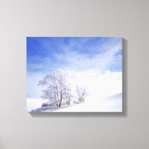 VS, Washington, Palouse gebied, Bevroren Zwarte Canvas Afdruk